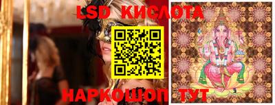 Альфа ПВП Бийск