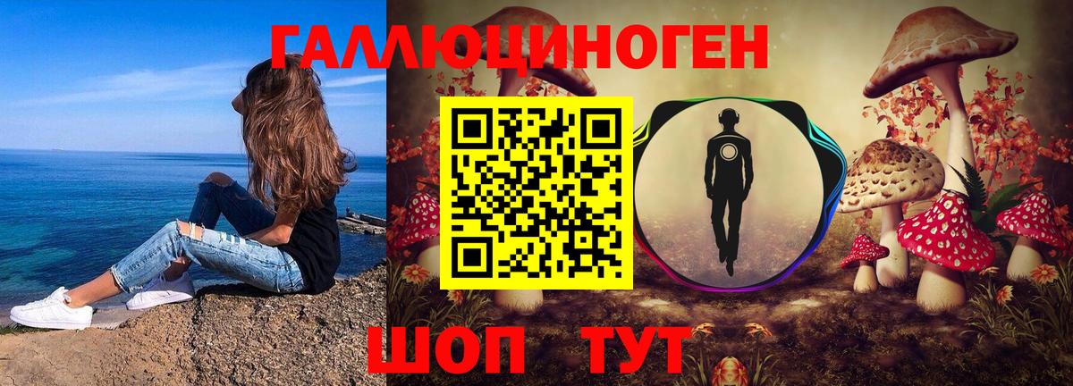 Галлюциногенные грибы Psilocybine cubensis  купить   Вход с VPN  Кирово-Чепецк  Псилоцибиновые грибы прущие грибы 